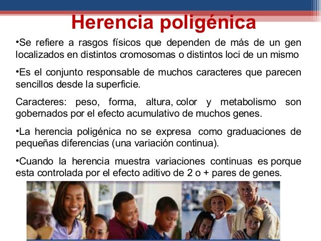 herencia poligenica pdf herencia poligenica pdf