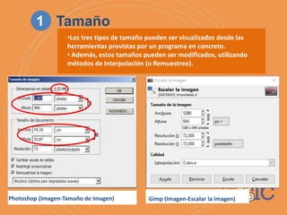 Photoshop (Imagen-Tamaño de imagen) Gimp (Imagen-Escalar la imagen)
1 Tamaño
•Los tres tipos de tamaño pueden ser visualizados desde las
herramientas provistas por un programa en concreto.
• Además, estos tamaños pueden ser modificados, utilizando
métodos de Interpolación (o Remuestreo).
 