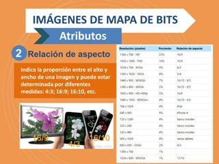 Indica la proporción entre el alto y
ancho de una imagen y puede estar
determinada por diferentes
medidas: 4:3; 16:9; 16:10, etc.
IMÁGENES DE MAPA DE BITS
2 Relación de aspecto
Atributos
 