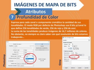 Expresa para cada canal o componente cromático la cantidad de sus
tonalidades. El modo RGB por defecto de Photoshop usa 8 bits p/canal lo
que define 256 tonalidades de verde, 256 de rojo y 256 de azul.
La suma de las tonalidades produce imágenes de 16,7 millones de colores.
No obstante, no siempre es claro saber con qué resolución de bits estamos
trabajando…
Gimp
Photoshop
IMÁGENES DE MAPA DE BITS
Atributos
7 Profundidad de Color
 