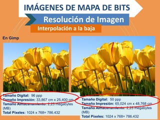 Tamaño Digital: 96 ppp
Tamaño Impresión: 33,867 cm x 25,400 cm
Tamaño Almacenamiento: 2,25 megabytes
(MB)
Total Píxeles: 1024 x 768= 786.432
Tamaño Digital: 50 ppp
Tamaño Impresión: 65,024 cm x 48,768 cm
Tamaño Almacenamiento: 2,25 megabytes
(MB)
Total Píxeles: 1024 x 768= 786.432
En Gimp
IMÁGENES DE MAPA DE BITS
Resolución de Imagen
Interpolación a la baja
 
