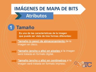 *tamaño (o peso) de almacenamiento de la
imagen en disco.
*tamaño (ancho y alto) en píxeles si la imagen
será tratada en formato digital.
*tamaño (ancho y alto) en centímetros si la
imagen será tratada en formato impreso.
IMÁGENES DE MAPA DE BITS
Atributos
1 Tamaño
Es una de las características de la imagen
que puede ser vista de tres formas diferentes:
 