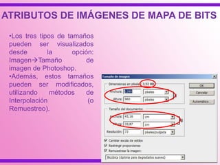 •Los tres tipos de tamaños
pueden ser visualizados
desde la opción:
ImagenTamaño de
imagen de Photoshop.
•Además, estos tamaños
pueden ser modificados,
utilizando métodos de
Interpolación (o
Remuestreo).
ATRIBUTOS DE IMÁGENES DE MAPA DE BITS
 