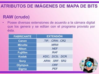 • Posee diversas extensiones de acuerdo a la cámara digital
que los genera y se editan con el programa provisto por
ésta.
FABRICANTE EXTENSIÓN
Canon .TIF; .CRW; .CR2
Minolta .MRW
Nikon .NEF
Fujifilm .RAF
Kodak .KDC; .DCS; .DCR
Sony .ARW; .SRF; SR2
Olympus .ORF
Sigma .PEF
RAW (crudo)
ATRIBUTOS DE IMÁGENES DE MAPA DE BITS
 