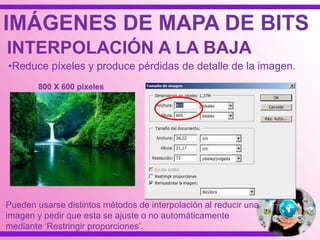 IMÁGENES DE MAPA DE BITS
•Reduce píxeles y produce pérdidas de detalle de la imagen.
Pueden usarse distintos métodos de interpolación al reducir una
imagen y pedir que esta se ajuste o no automáticamente
mediante „Restringir proporciones‟.
INTERPOLACIÓN A LA BAJA
800 X 600 píxeles
 