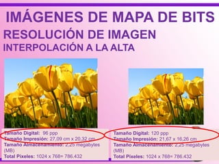 IMÁGENES DE MAPA DE BITS
RESOLUCIÓN DE IMAGEN
INTERPOLACIÓN A LA ALTA
Tamaño Digital: 96 ppp
Tamaño Impresión: 27,09 cm x 20,32 cm
Tamaño Almacenamiento: 2,25 megabytes
(MB)
Total Píxeles: 1024 x 768= 786.432
Tamaño Digital: 120 ppp
Tamaño Impresión: 21,67 x 16,26 cm
Tamaño Almacenamiento: 2,25 megabytes
(MB)
Total Píxeles: 1024 x 768= 786.432
 