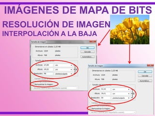 IMÁGENES DE MAPA DE BITS
RESOLUCIÓN DE IMAGEN
INTERPOLACIÓN A LA BAJA
 