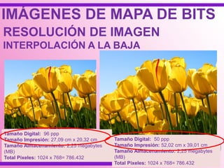IMÁGENES DE MAPA DE BITS
RESOLUCIÓN DE IMAGEN
INTERPOLACIÓN A LA BAJA
Tamaño Digital: 96 ppp
Tamaño Impresión: 27,09 cm x 20,32 cm
Tamaño Almacenamiento: 2,25 megabytes
(MB)
Total Píxeles: 1024 x 768= 786.432
Tamaño Digital: 50 ppp
Tamaño Impresión: 52,02 cm x 39,01 cm
Tamaño Almacenamiento: 2,25 megabytes
(MB)
Total Píxeles: 1024 x 768= 786.432
 