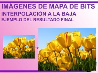 IMÁGENES DE MAPA DE BITS
INTERPOLACIÓN A LA BAJA
EJEMPLO DEL RESULTADO FINAL
 
