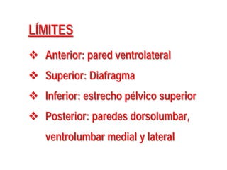 LÍMITES
 Anterior: pared ventrolateral
 Superior: Diafragma
 Inferior: estrecho pélvico superior
 Posterior: paredes dorsolumbar,
ventrolumbar medial y lateral
 