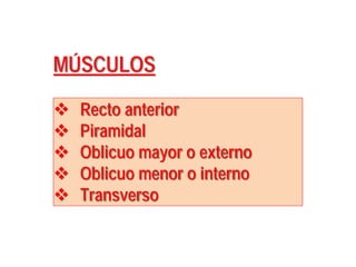MÚSCULOS
 Recto anterior
 Piramidal
 Oblicuo mayor o externo
 Oblicuo menor o interno
 Transverso
 