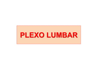 PLEXO LUMBAR
 
