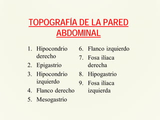 TOPOGRAFÍA DE LA PARED
ABDOMINAL
 