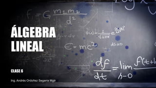 ÁLGEBRA
LINEAL
CLASE 6
Ing. Andrés Ordoñez Segarra Mgtr
 