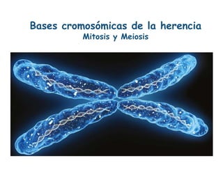 Bases cromosómicas de la herencia
Mitosis y Meiosis
 