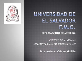 DEPARTAMENTO DE MEDICINA

           CATEDRA DE ANATOMIA:
COMPARTIMIENTO SUPRAMESOCOLICO

    Dr. Amadeo A. Cabrera Guillén
 
