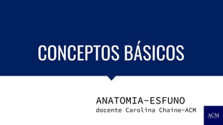 CONCEPTOS BÁSICOS
ANATOMIA-ESFUNO
docente Carolina Chaine-ACM
 