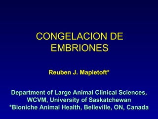 Reuben J. Mapletoft* Department of Large Animal Clinical Sciences, WCVM, University of Saskatchewan *Bioniche Animal Health, Belleville, ON, Canada CONGELACION DE EMBRIONES 