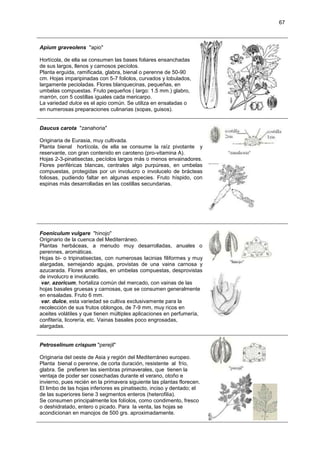 Clase 6 Corolianos De Ovario Infero | PDF