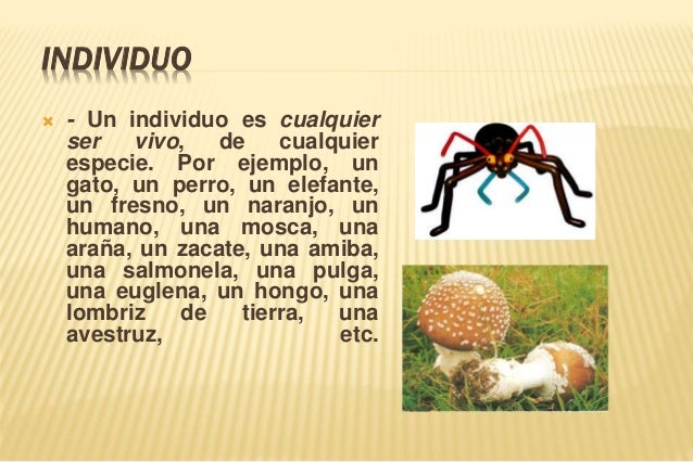 Clase 6 ecología 2013ii (2)