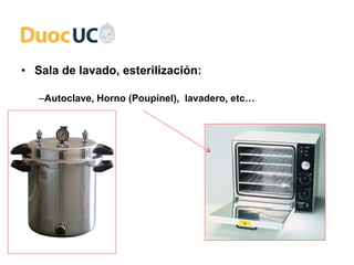 HORNO PASTEUR by Valentina Cardozo Galeano