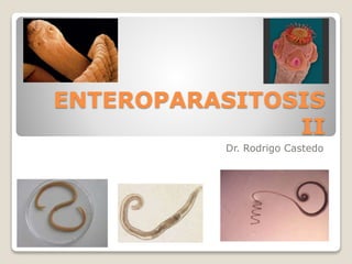 ENTEROPARASITOSIS 
II 
Dr. Rodrigo Castedo 
 