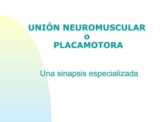 UNIÓN NEUROMUSCULAR
o
PLACAMOTORA
Una sinapsis especializada
 