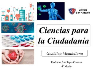 Profesora Ana Tapia Cordero
4° Medio
Colegio
San Antonio
Ciencias para
la Ciudadanía
Genética Mendeliana
 