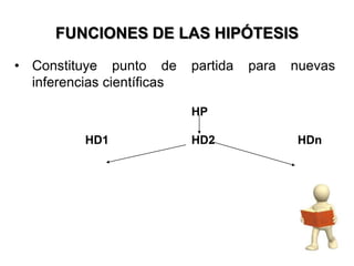 FUNCIONES DE LAS HIPÓTESIS

• Constituye punto de       partida   para   nuevas
  inferencias científicas

                            HP

          HD1               HD2              HDn
 