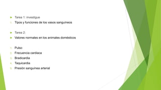  Tarea 1: investigue
1. Tipos y funciones de los vasos sanguíneos
 Tarea 2:
 Valores normales en los animales domésticos
1. Pulso
2. Frecuencia cardiaca
3. Bradicardia
4. Taquicardia
5. Presión sanguínea arterial
 