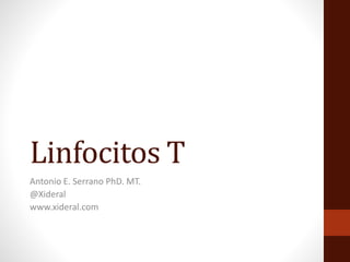 Linfocitos T
Antonio E. Serrano PhD. MT.
@Xideral
www.xideral.com
 