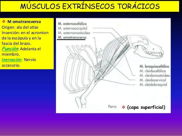 Clase 6