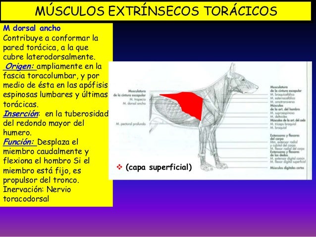 Clase 6