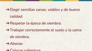 ➔Elegir semillas sanas, viables y de buena
calidad.
➔Respetar la época de siembra.
➔Trabajar correctamente el suelo y la cama
de siembra.
➔Abonar.
 