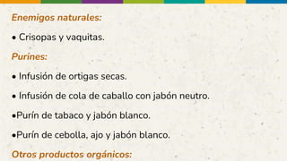 Enemigos naturales:
• Crisopas y vaquitas.
Purines:
• Infusión de ortigas secas.
• Infusión de cola de caballo con jabón neutro.
•Purín de tabaco y jabón blanco.
•Purín de cebolla, ajo y jabón blanco.
Otros productos orgánicos:
 