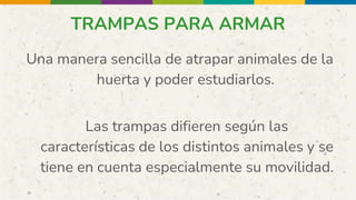 TRAMPAS PARA ARMAR
Una manera sencilla de atrapar animales de la
huerta y poder estudiarlos.
Las trampas difieren según las
características de los distintos animales y se
tiene en cuenta especialmente su movilidad.
 