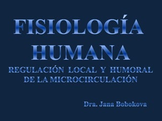 FISIOLOGÍA  HUMANA REGULACIÓN  LOCAL  Y  HUMORAL DE LA MICROCIRCULACIÓN 				Dra. Jana Bobokova 