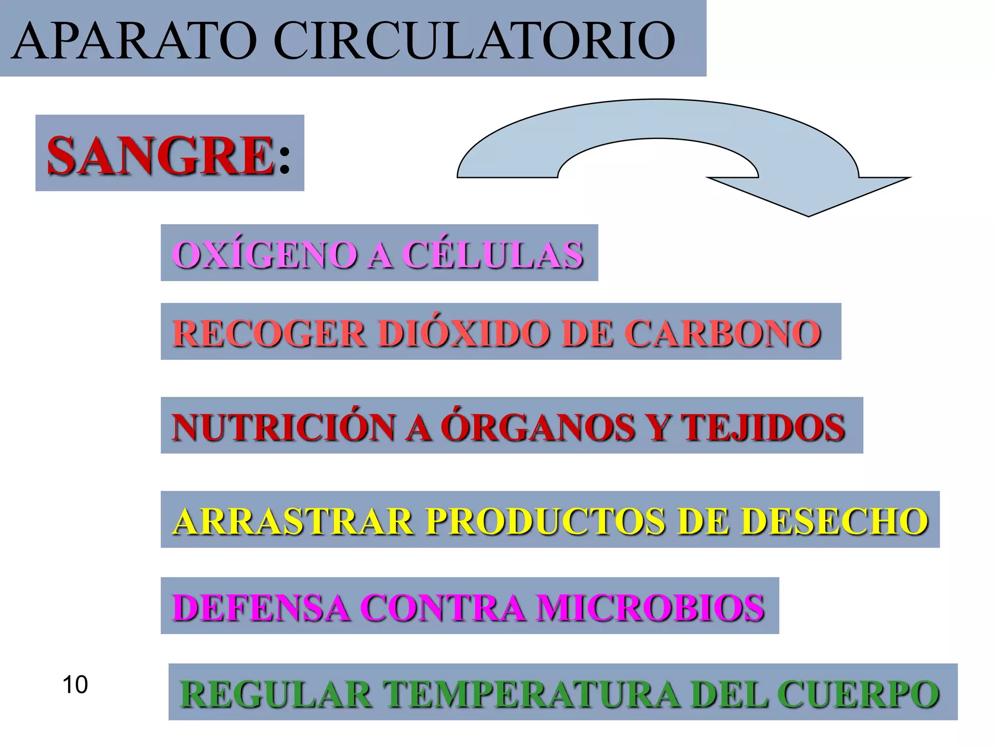 14
APARATO CIRCULATORIO
OXÍGENO A CÉLULAS
RECOGER DIÓXIDO DE CARBONO
NUTRICIÓN A ÓRGANOS Y TEJIDOS
ARRASTRAR PRODUCTOS DE DESECHO
DEFENSA CONTRA MICROBIOS
REGULAR TEMPERATURA DEL CUERPO
SANGRE:
10
 