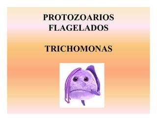 PROTOZOARIOS
FLAGELADOS
TRICHOMONAS
 
