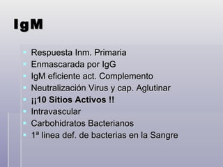 IgM Respuesta Inm. Primaria Enmascarada por IgG  IgM eficiente act. Complemento Neutralización Virus y cap. Aglutinar ¡¡10 Sitios Activos !! Intravascular Carbohidratos Bacterianos 1ª linea def. de bacterias en la Sangre 