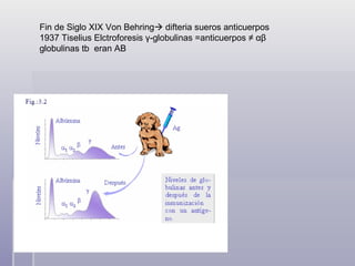 Fin de Siglo XIX Von Behring   difteria sueros anticuerpos 1937 Tiselius Elctroforesis  γ -globulinas =anticuerpos ≠  αβ  globulinas tb  eran AB 