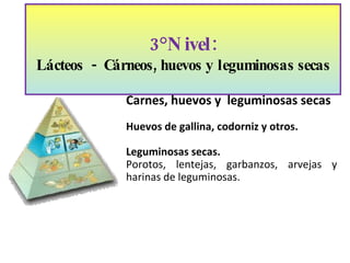 3°Nivel: Lácteos  -  Cárneos, huevos y leguminosas secas Carnes, huevos y  leguminosas secas Huevos de gallina, codorniz y otros. Leguminosas secas. Porotos, lentejas, garbanzos, arvejas y harinas de leguminosas. 