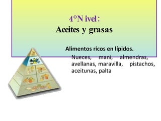 4°Nivel: Aceites y grasas Alimentos ricos en lípidos. Nueces, maní, almendras,  avellanas, maravilla,  pistachos, aceitunas, palta 