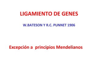 LIGAMIENTO DE GENES 
W.BATESON Y R.C. PUNNET 1906 
Excepción a principios Mendelianos 
 