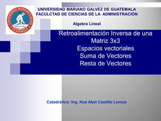 Retroalimentación Inversa de una
Matriz 3x3
Espacios vectoriales
Suma de Vectores
Resta de Vectores
Catedrático: Ing. Noé Abel Castillo Lemus
UNIVERSIDAD MARIANO GALVEZ DE GUATEMALA
FACULCTAD DE CIENCIAS DE LA ADMINISTRACIÓN
Algebra Lineal
 
