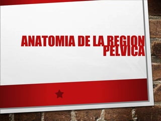 ANATOMIA DE LA REGION
PELVICA
 