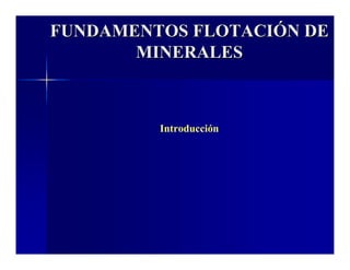 FUNDAMENTOS FLOTACIÓN DE  
MINERALES 
Introducción 
 
