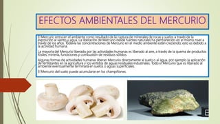 EFECTOS AMBIENTALES DEL MERCURIO
El Mercurio entra en el ambiente como resultado de la ruptura de minerales de rocas y sue...