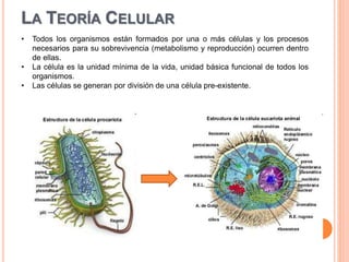 Generalidades de las células