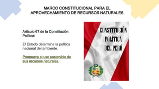 Clase 7 - Ley Org. Aprov.sost (1).pdf